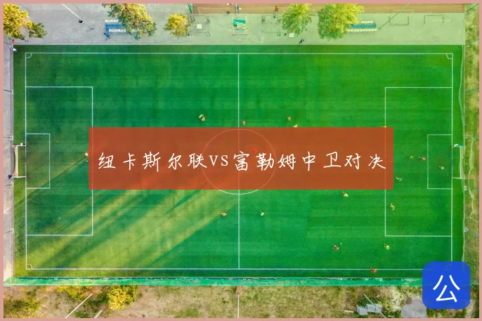 纽卡斯尔联vs富勒姆中卫对决