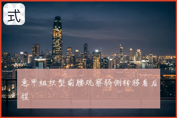 意甲组织型前腰观察弱侧转移看后程