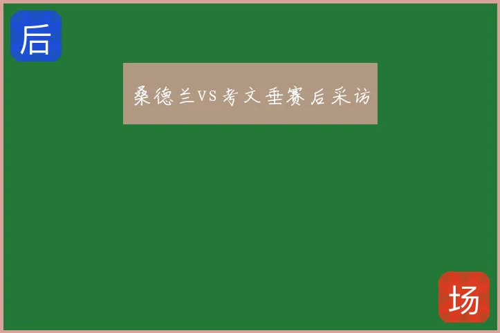 桑德兰vs考文垂赛后采访