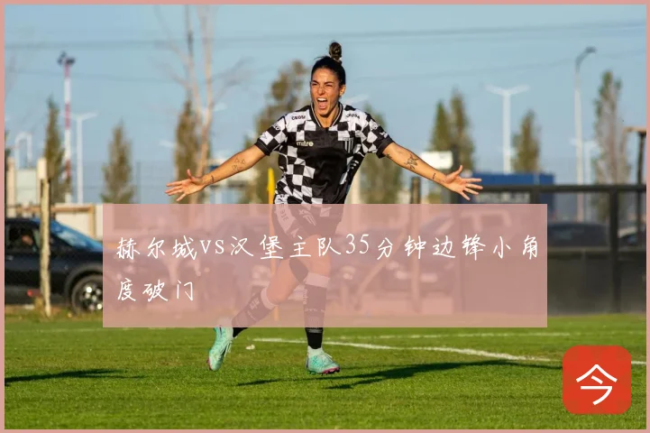 赫尔城vs汉堡主队35分钟边锋小角度破门